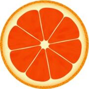 grapefruit for dukan diet